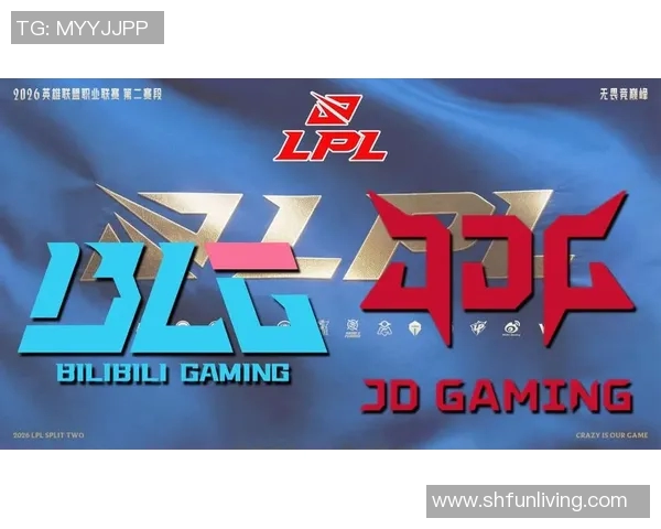 赛后复盘：BLG与JDG对决中的战术分析与技术细节探讨