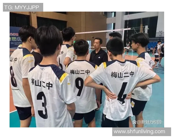 南京排球队在全国排球耐力排行榜中荣获第二名的辉煌成就 南京排球队在全国排球耐力排行榜中荣获第二名的辉煌成就